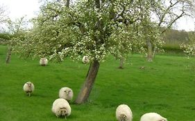Hoeve Schevey